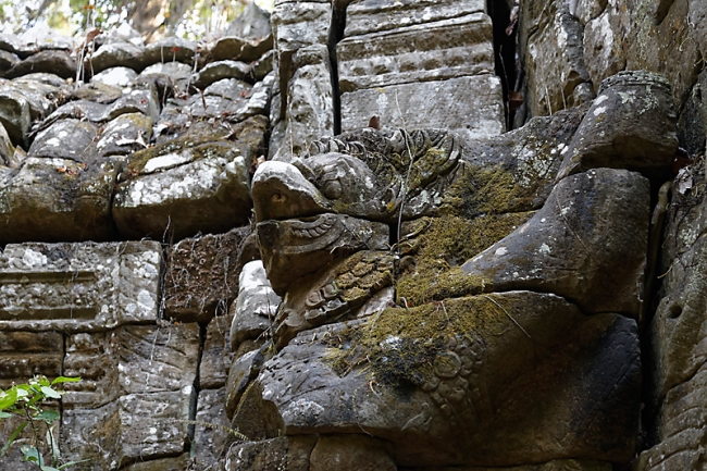 Ta Phrom et environs-014